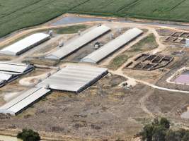 Drone flyover - Aerial view of piggery - Captured at Girgarre Piggery, Girgarre VIC Australia.