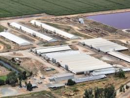 Drone flyover - Aerial view of piggery - Captured at Girgarre Piggery, Girgarre VIC Australia.