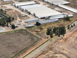 Drone flyover - Aerial view of piggery - Captured at Girgarre Piggery, Girgarre VIC Australia.