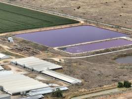 Drone flyover - Aerial view of piggery - Captured at Girgarre Piggery, Girgarre VIC Australia.