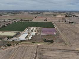 Drone flyover - Aerial view of piggery - Captured at Girgarre Piggery, Girgarre VIC Australia.