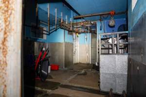 Looking through door into slaughterhouse kill room - Captured at Steve's Country Kills, Chinchilla QLD Australia.