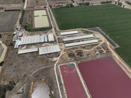 Drone flyover - Aerial view of piggery - Captured at Girgarre Piggery, Girgarre VIC Australia.