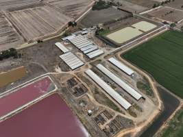 Drone flyover - Aerial view of piggery - Captured at Girgarre Piggery, Girgarre VIC Australia.