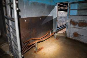 Entrance into the cattle knockbox - Captured at Steve's Country Kills, Chinchilla QLD Australia.