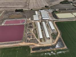 Drone flyover - Aerial view of piggery - Captured at Girgarre Piggery, Girgarre VIC Australia.