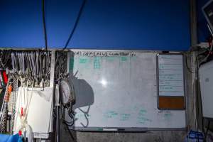 White board in slaughterhouse kill room - Captured at Steve's Country Kills, Chinchilla QLD Australia.