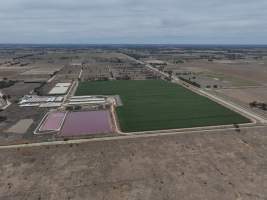 Drone flyover - Aerial view of piggery - Captured at Girgarre Piggery, Girgarre VIC Australia.