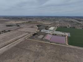 Drone flyover - Aerial view of piggery - Captured at Girgarre Piggery, Girgarre VIC Australia.