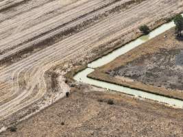 Drone flyover - Aerial view of piggery - Captured at Girgarre Piggery, Girgarre VIC Australia.