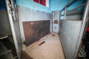 Inside of cow knockbox inside kill room - Captured at Steve's Country Kills, Chinchilla QLD Australia.