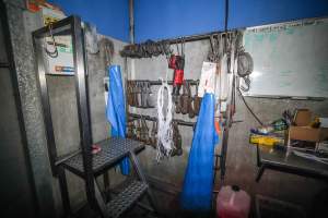 Shackles and aprons hanging in kill room - Captured at Steve's Country Kills, Chinchilla QLD Australia.