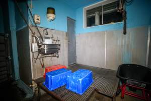 Tubs left on kill platform inside slaughterhouse - Captured at Steve's Country Kills, Chinchilla QLD Australia.