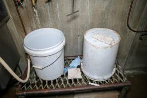 Tubs left inside slaughterhouse ill room - Captured at Steve's Country Kills, Chinchilla QLD Australia.