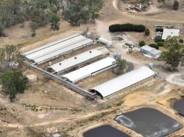 Drone flyover - Aerial view of piggery - Captured at Nagambie Breeder, Bailieston VIC Australia.