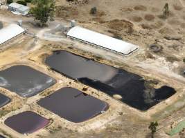 Drone flyover - Aerial view of piggery - Captured at Nagambie Breeder, Bailieston VIC Australia.