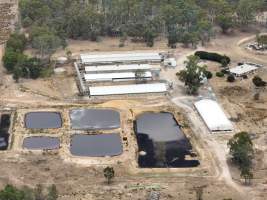 Drone flyover - Aerial view of piggery - Captured at Nagambie Breeder, Bailieston VIC Australia.