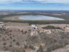 Drone flyover - Aerial view of piggery - Captured at Nagambie Breeder, Bailieston VIC Australia.