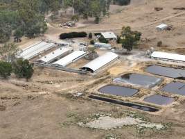 Drone flyover - Aerial view of piggery - Captured at Nagambie Breeder, Bailieston VIC Australia.