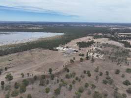 Drone flyover - Aerial view of piggery - Captured at Nagambie Breeder, Bailieston VIC Australia.