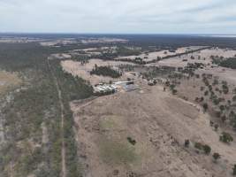 Drone flyover - Aerial view of piggery - Captured at Nagambie Breeder, Bailieston VIC Australia.