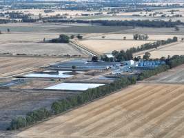 Drone flyover - Aerial view of piggery - Captured at Kia-Ora Piggery, Yarrawalla VIC Australia.