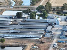 Drone flyover - Aerial view of piggery - Captured at Kia-Ora Piggery, Yarrawalla VIC Australia.