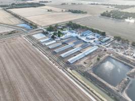 Drone flyover - Aerial view of piggery - Captured at Kia-Ora Piggery, Yarrawalla VIC Australia.