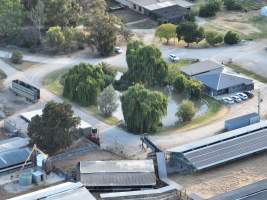 Drone flyover - Aerial view of piggery - Captured at Kia-Ora Piggery, Yarrawalla VIC Australia.