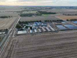 Drone flyover - Aerial view of piggery - Captured at Kia-Ora Piggery, Yarrawalla VIC Australia.