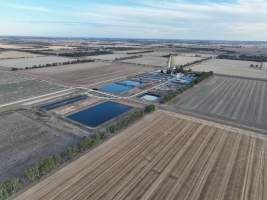 Drone flyover - Aerial view of piggery - Captured at Kia-Ora Piggery, Yarrawalla VIC Australia.