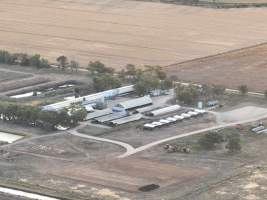 Drone flyover - Aerial view of piggery - Captured at Calivil Breeder, Calivil VIC Australia.