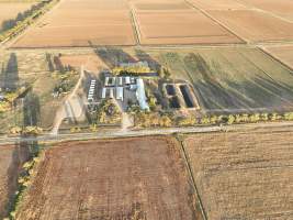 Drone flyover - Aerial view of piggery - Captured at Calivil Breeder, Calivil VIC Australia.