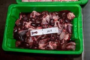 Organs and body parts dumped in plastic basket; a tag with 'Ash' written on it is placed on top of the organs - Captured at Millmerran Meats, Millmerran QLD Australia.