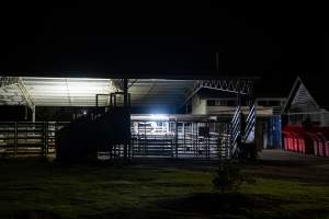 Exterior shot of Millmerran Meats' holding pens, taken on approach to the slaughterhouse. - Captured at Millmerran Meats, Millmerran QLD Australia.