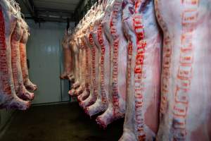 Bodies & bags hanging in the chiller room at Millmerran Meats slaughterhouse - Captured at Millmerran Meats, Millmerran QLD Australia.