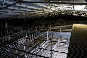 Exterior shot of Millmerran Meats' holding pens - Captured at Millmerran Meats, Millmerran QLD Australia.