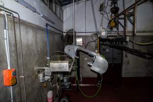 Shot of a 'Jarvis Buster V', an electric-powered saw used to process cows after they have been slaughtered - Captured at Millmerran Meats, Millmerran QLD Australia.