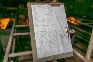 Farrowing paperwork - Printed paperwork clipped above a farrowing crate, detailing information about the sow and her piglets - Captured at Macorna Pastoral Breeder Piggery, Mincha West VIC Australia.