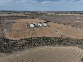 Drone flyover - Aerial view of piggery - Captured at Griffiths Farms - Grower Piggery, McMillans VIC Australia.