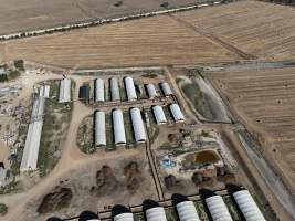 Drone flyover - Aerial view of piggery - Captured at Griffiths Farms - Grower Piggery, McMillans VIC Australia.