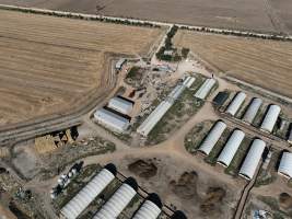 Drone flyover - Aerial view of piggery - Captured at Griffiths Farms - Grower Piggery, McMillans VIC Australia.