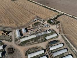 Drone flyover - Aerial view of piggery - Captured at Griffiths Farms - Grower Piggery, McMillans VIC Australia.