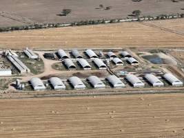 Drone flyover - Aerial view of piggery - Captured at Griffiths Farms - Grower Piggery, McMillans VIC Australia.