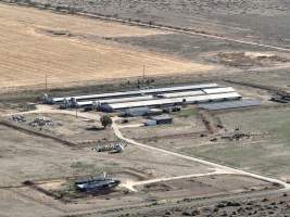 Drone flyover - Aerial view of piggery - Captured at Macorna Pastoral Breeder Piggery, Mincha West VIC Australia.