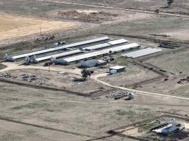 Drone flyover - Aerial view of piggery - Captured at Macorna Pastoral Breeder Piggery, Mincha West VIC Australia.