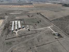 Drone flyover - Aerial view of piggery - Captured at Macorna Pastoral Breeder Piggery, Mincha West VIC Australia.