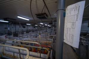 Farrowing paperwork identifying Wondaphil Piggery - Paperwork in the foreground, farrowing crates in the background - Captured at Wondaphil Pork Company, Tragowel VIC Australia.