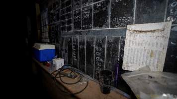 Blackboard near mating stalls - Captured at Hylehay Piggery, Milloo VIC Australia.