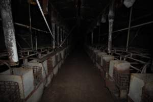 Empty and abandoned sow stalls - Captured at Evans Piggery, Sebastian VIC Australia.